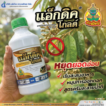 แอ็กโกรจิ๊บ